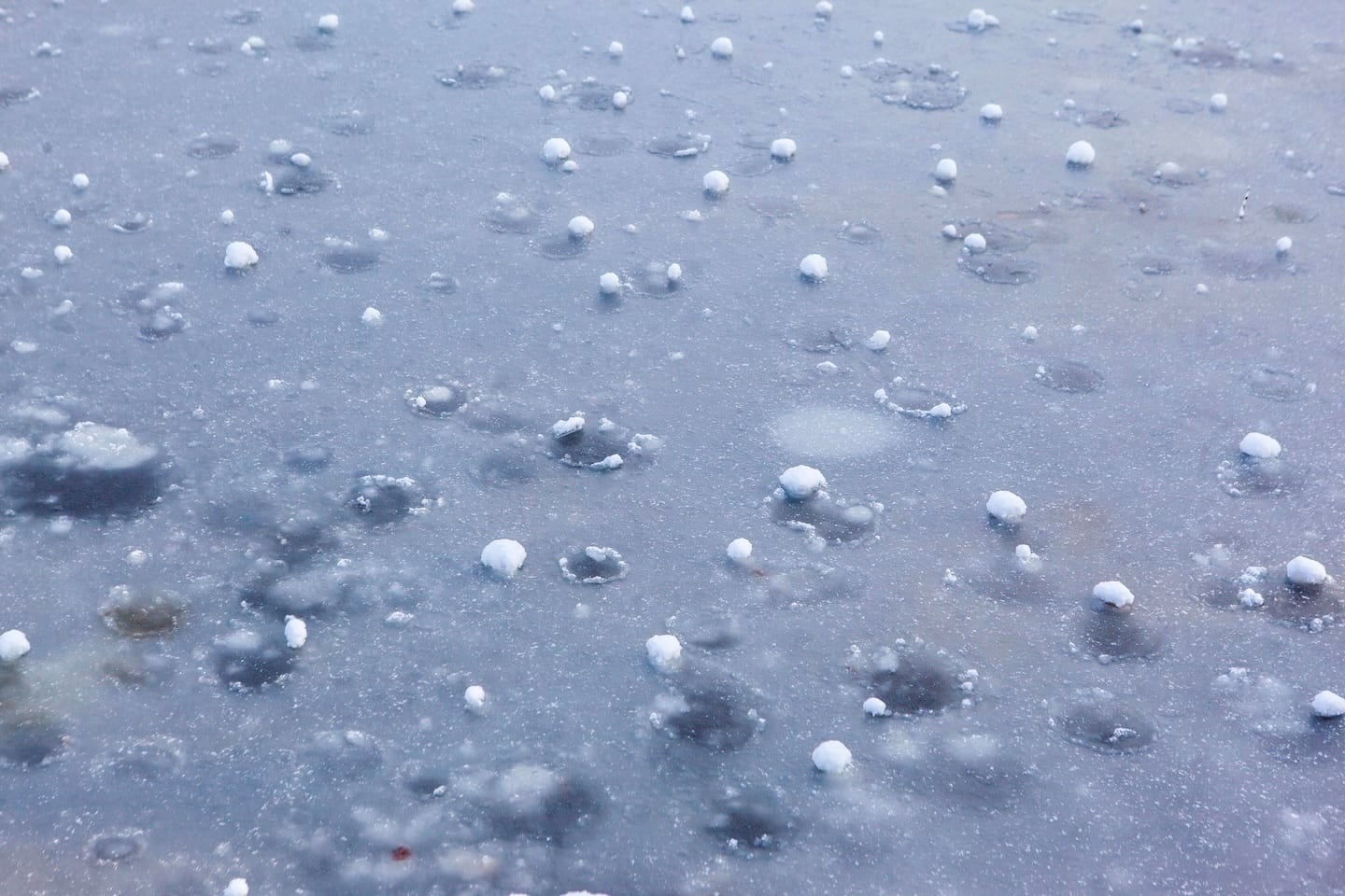 Revise | Personal Insurance | Hail Insurance